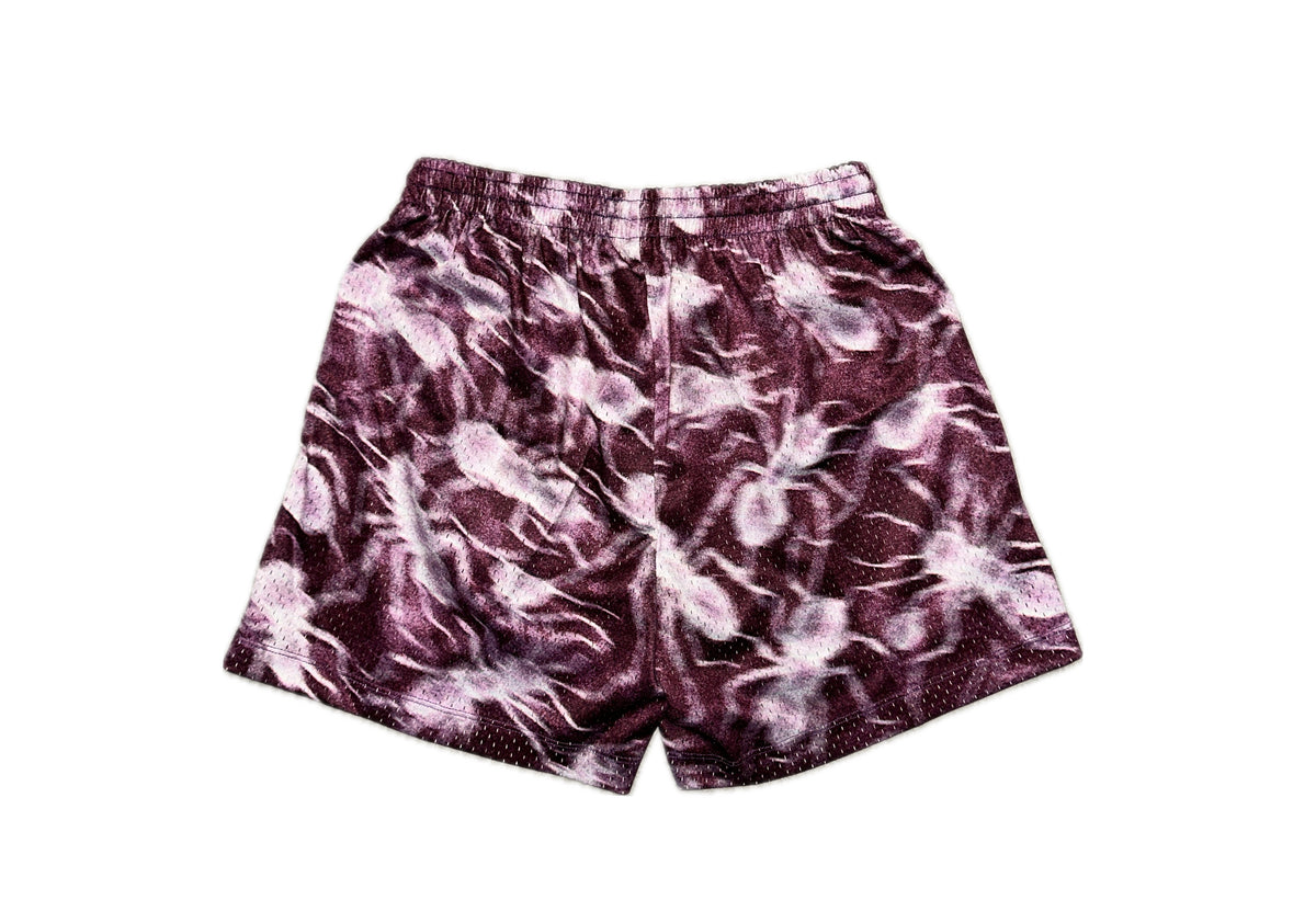 Ant short